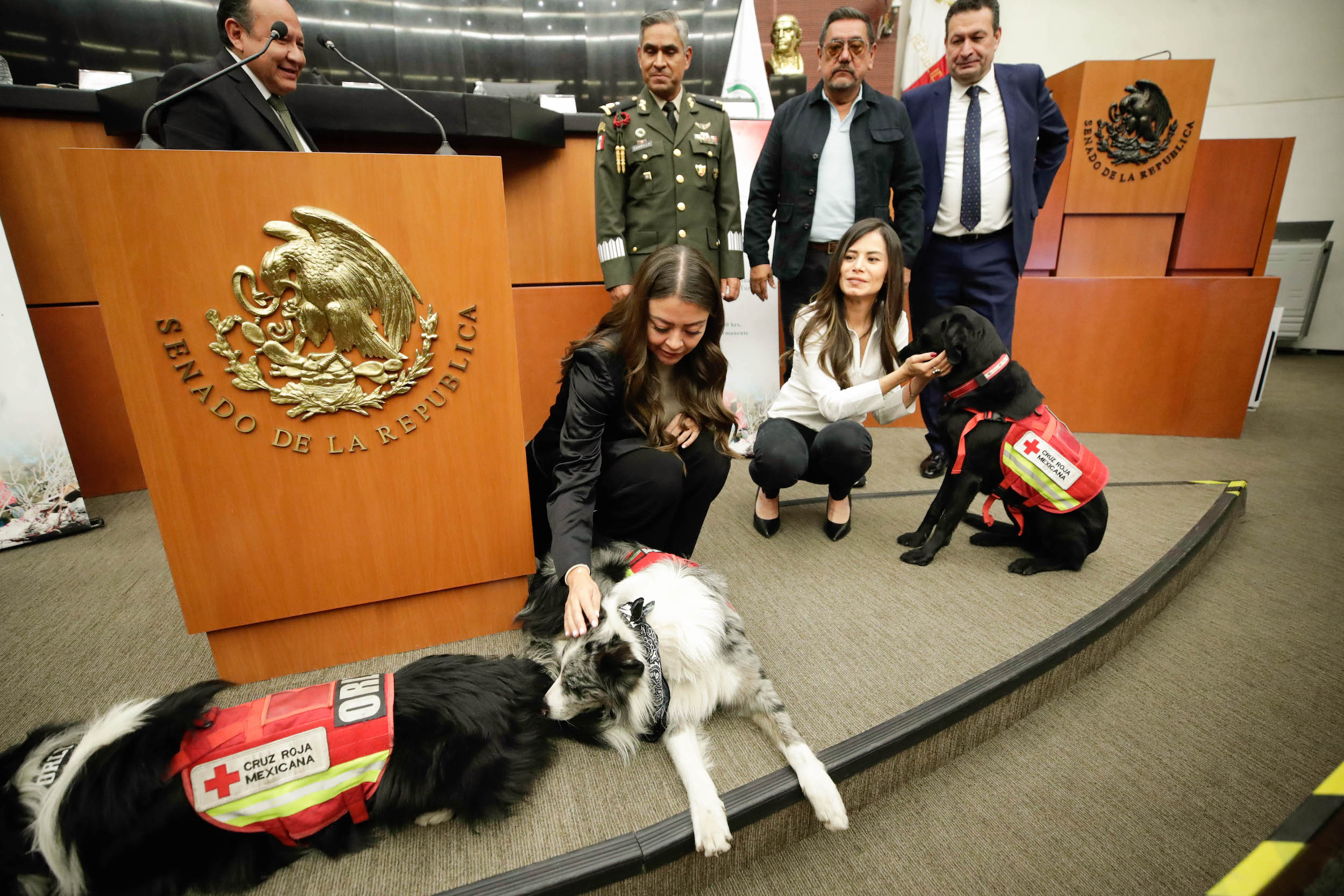 Noticias Del Congreso Senado Reconoce Labor De Binomios Caninos